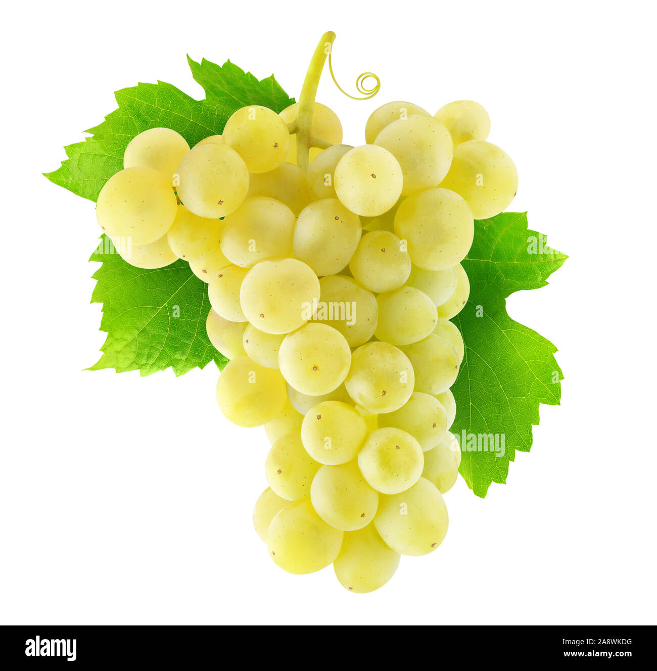 Uve isolato. Appendere grappolo di uva bianca isolata su sfondo bianco con tracciato di ritaglio Foto Stock