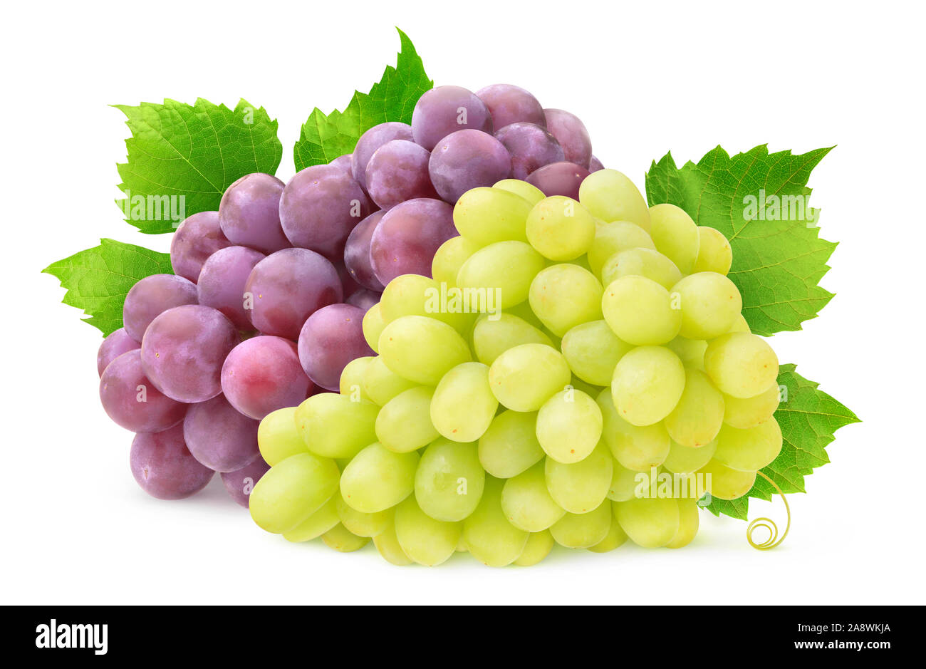 Isolato due varietà di uva. Mazzetto di uve bianche e rosse con foglie isolato su sfondo bianco con tracciato di ritaglio Foto Stock