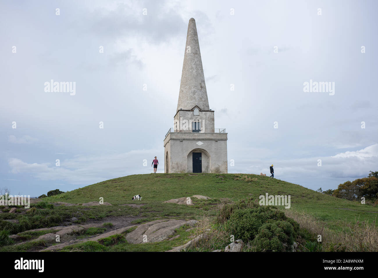 L'Obelisco, Killiney Hill, Dublino, Irlanda. Foto Stock