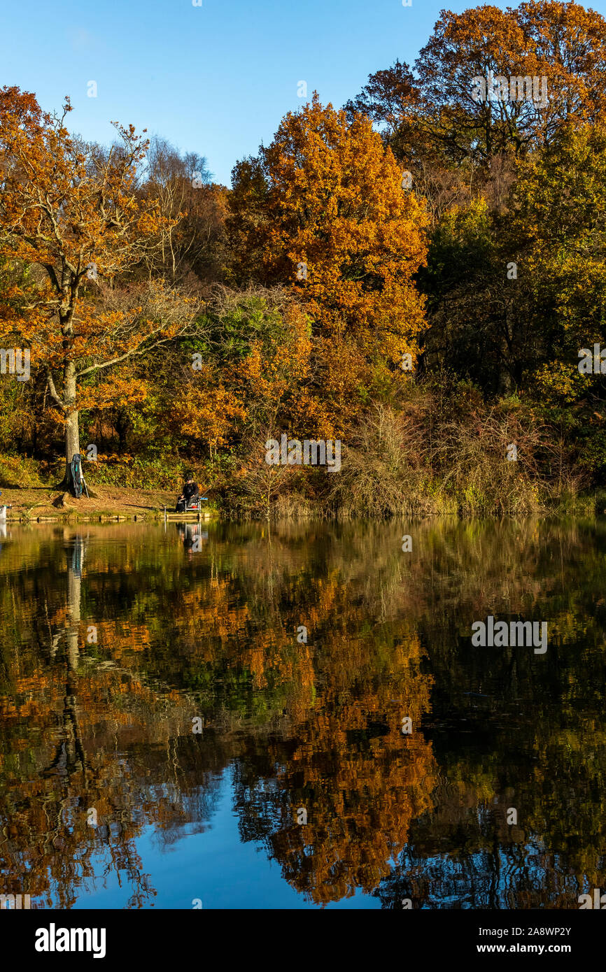 I membri di un club di angolazione di competere contro un autunno sfondo. Cannop stagni, Foresta di Dean, nel Gloucestershire. Autunno Foto Stock