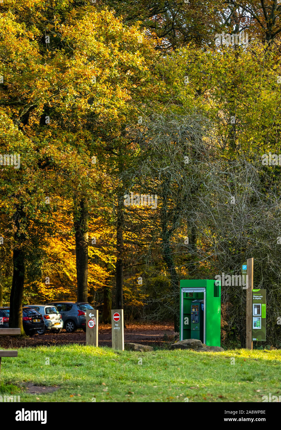 Commissione forestale parcheggio auto vending, Cannop stagni, Foresta di Dean. Autunno Foto Stock