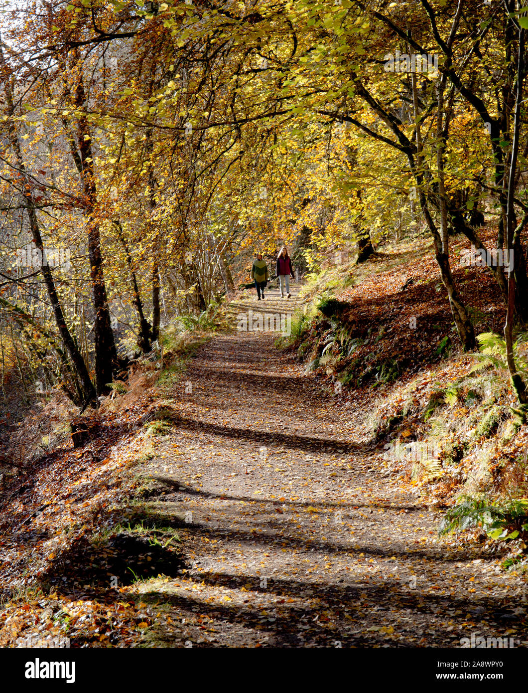 Il Rob Roy titolo a Aberfeldy, Perth and Kinross, Scozia. Foto Stock