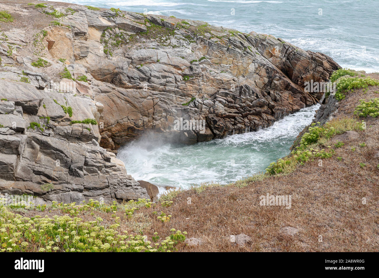 Cote Sauvage anche costa selvaggia della penisola di Quiberon, Bretagna Francia Foto Stock