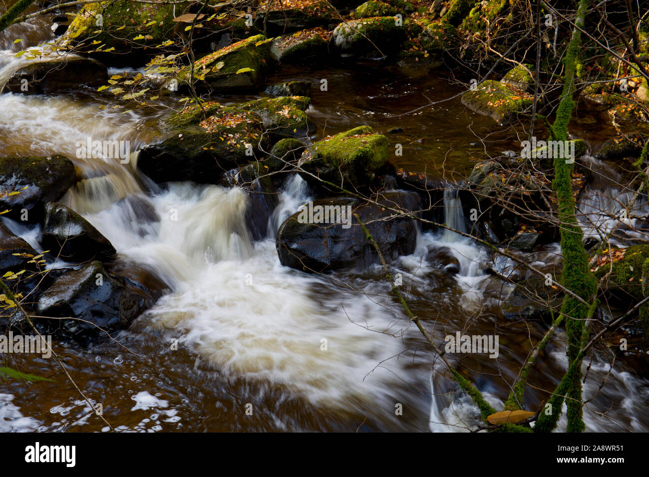 Il fiume Moness e cascate all'Birks di Aberfeldy Foto Stock