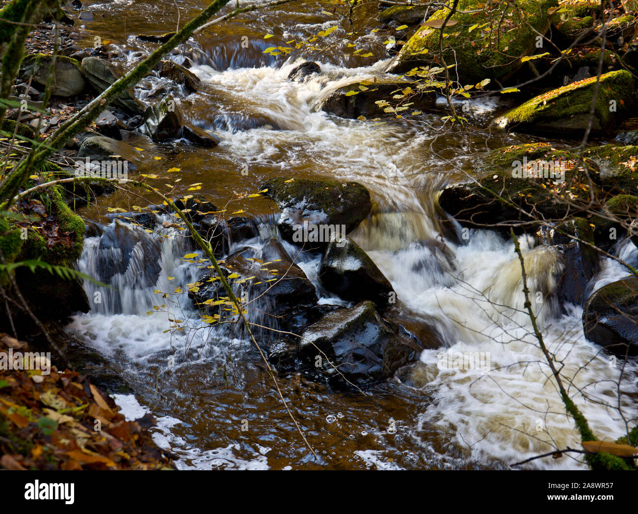 Il fiume Moness e cascate all'Birks di Aberfeldy Foto Stock