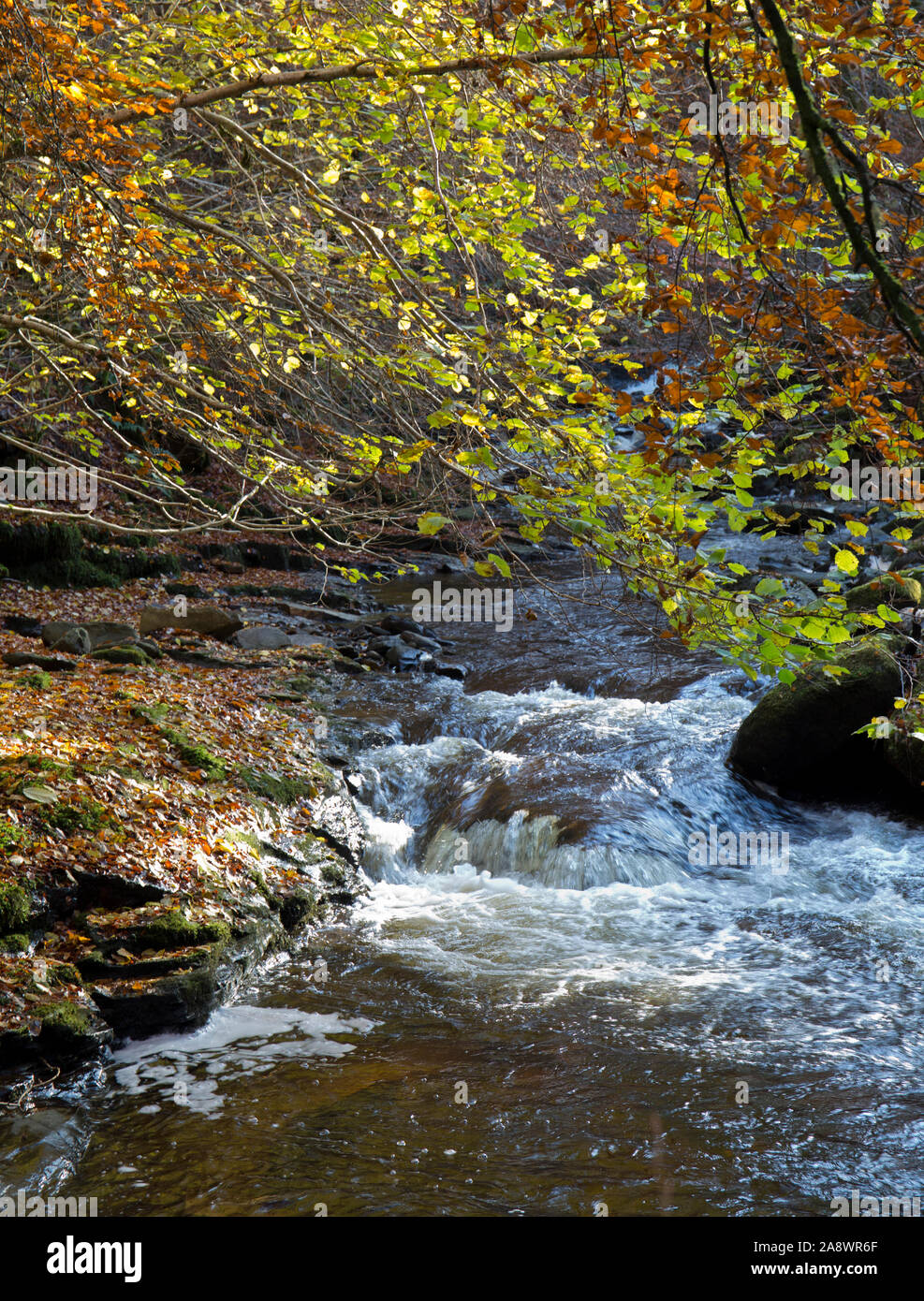 Il fiume Moness e cascate all'Birks di Aberfeldy Foto Stock