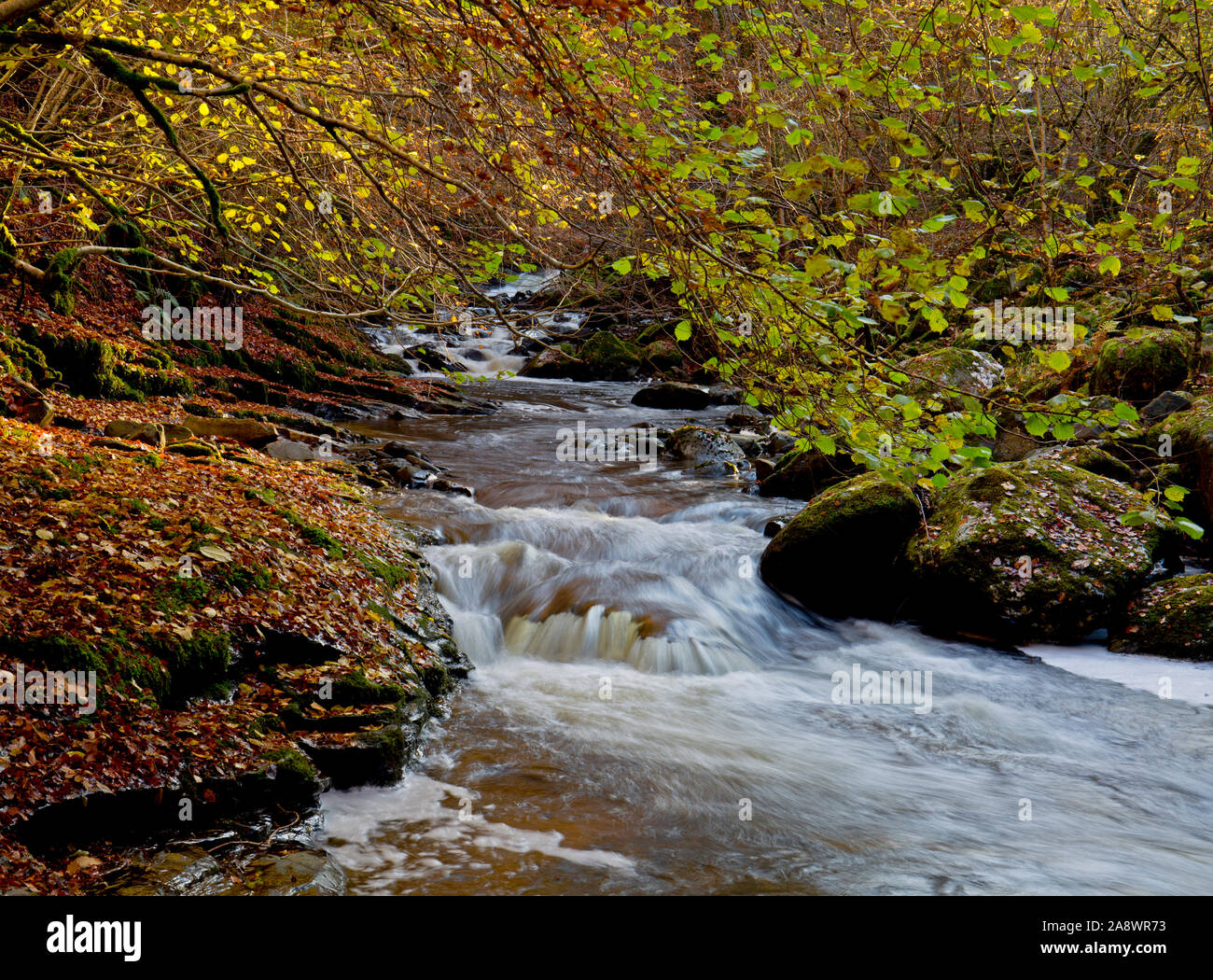 Il fiume Moness e cascate all'Birks di Aberfeldy Foto Stock