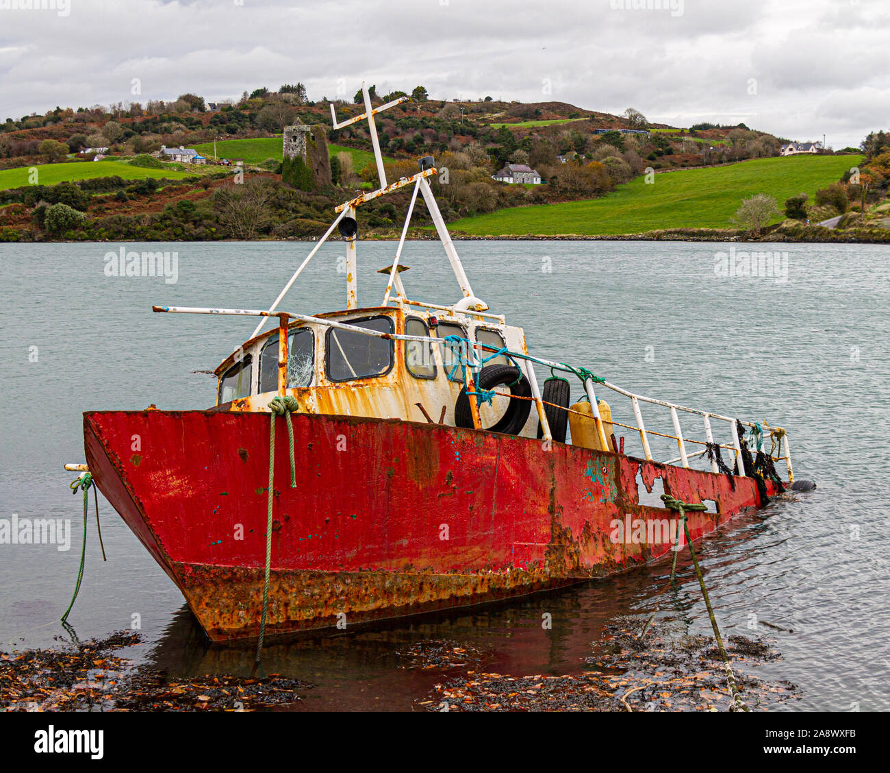 Relitto della nave nel porto di Castlehaven Irlanda Foto Stock