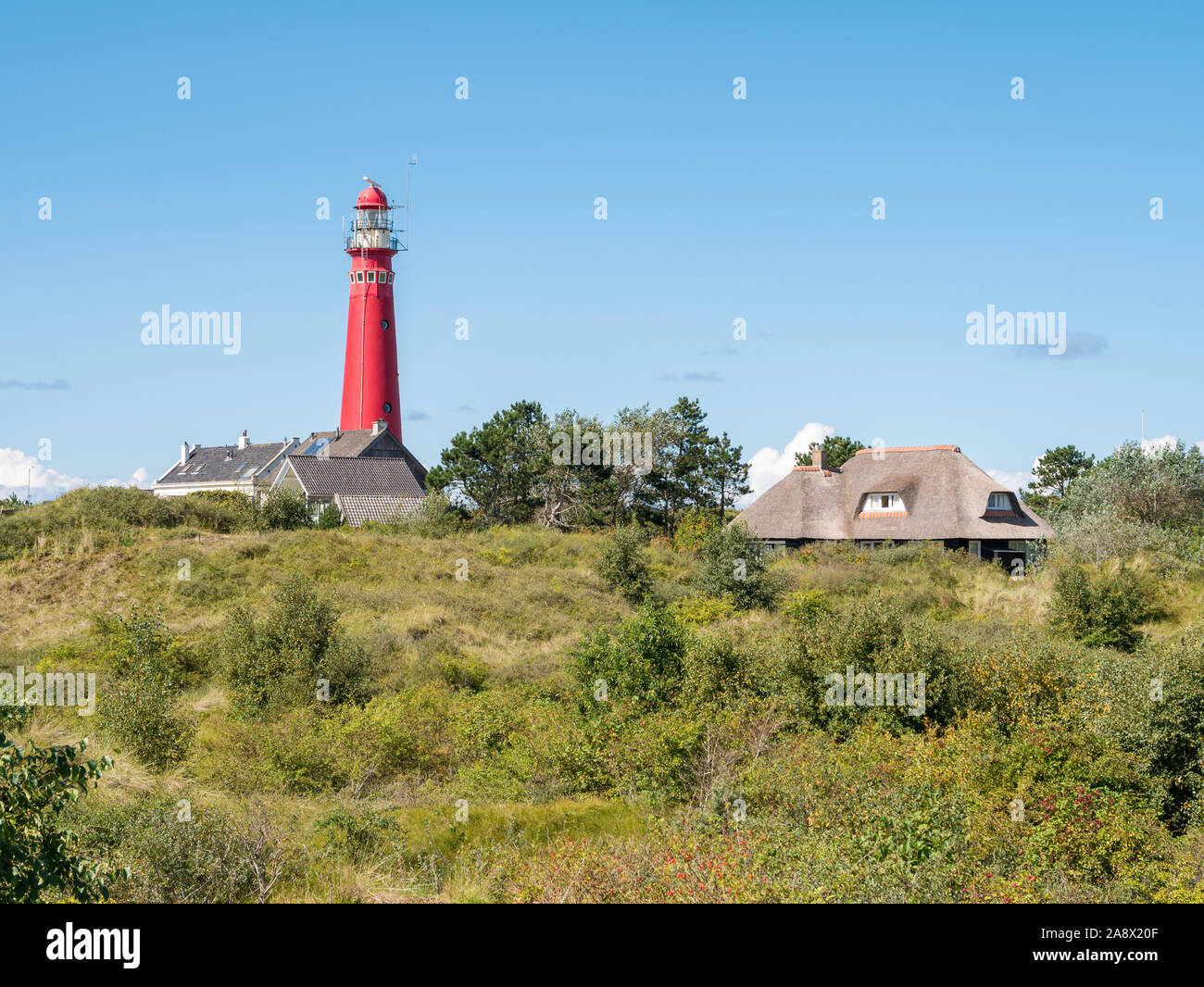 Torre Nord faro e case nelle dune di Schiermonnikoog, West-Frisian isola in Waddensea, Paesi Bassi Foto Stock