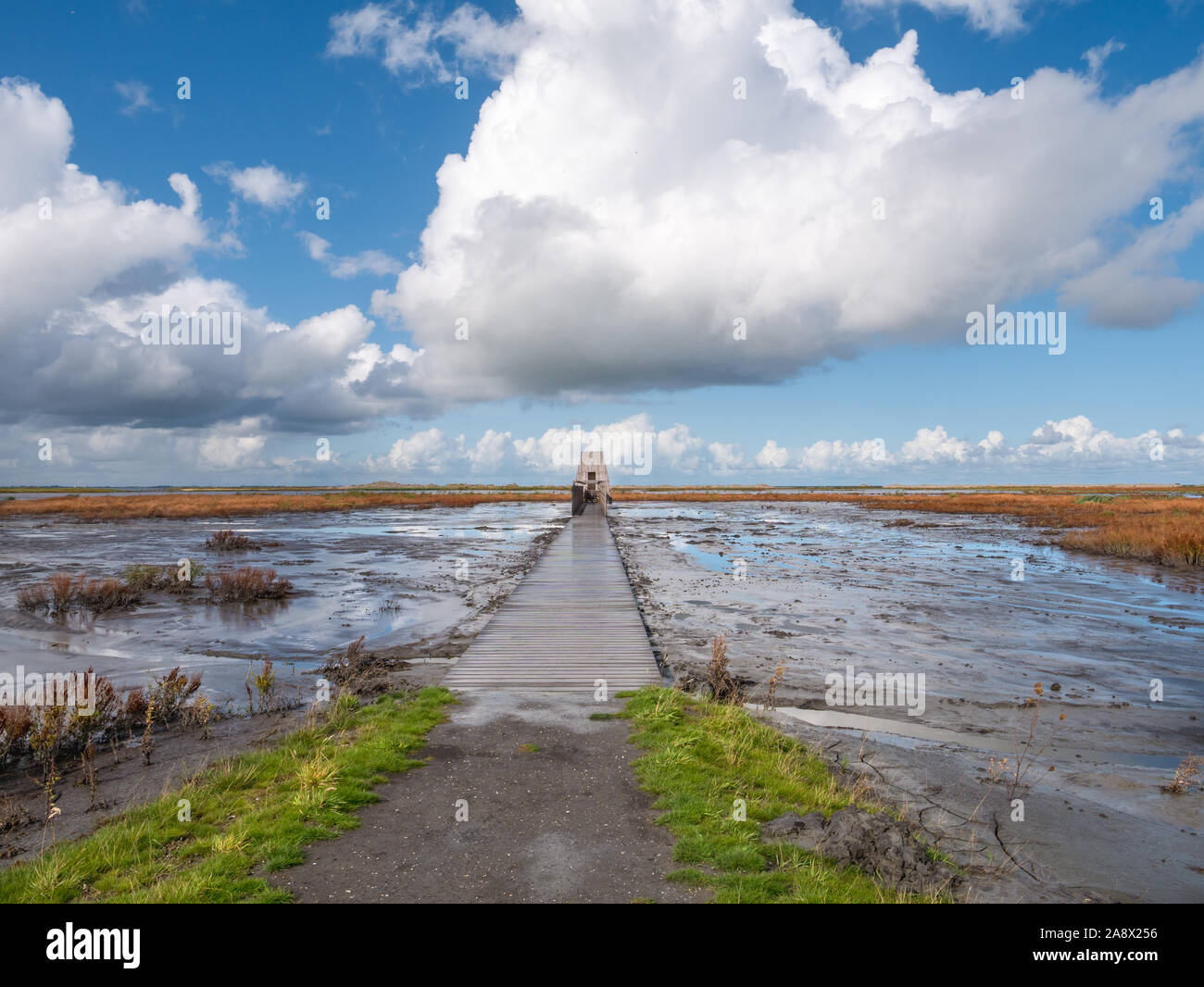 Il Boardwalk percorso che conduce a bird nascondere sull isola di Wadden Marker in Markermeer, Paesi Bassi Foto Stock