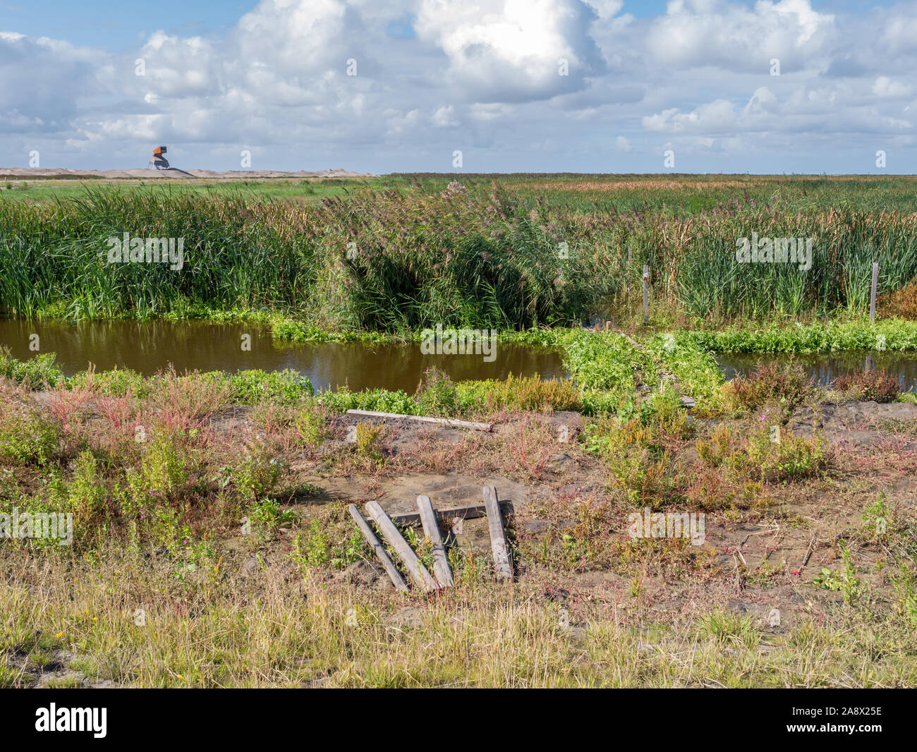 Torre di avvistamento e di una palude su manmade isola artificiale di Wadden marcatore, Markermeer, Paesi Bassi Foto Stock