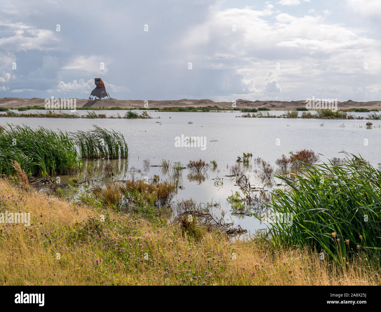 Torre di avvistamento e di una palude su manmade isola artificiale di Wadden marcatore, Markermeer, Paesi Bassi Foto Stock