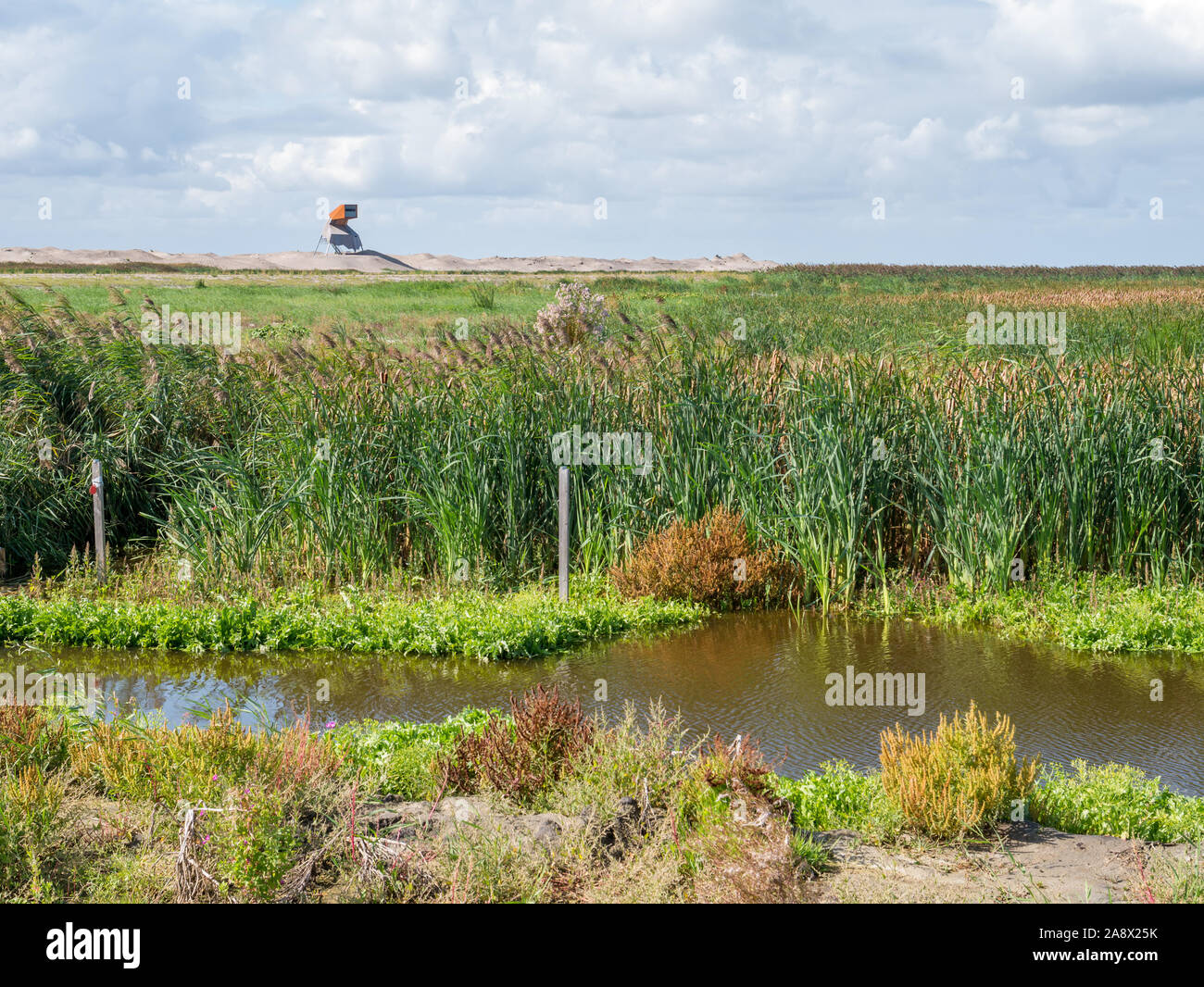 Torre di avvistamento e di una palude su manmade isola artificiale di Wadden marcatore, Markermeer, Paesi Bassi Foto Stock