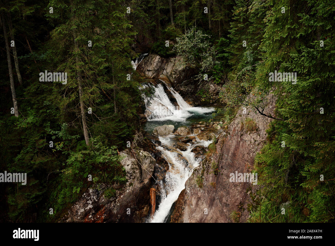 La cascata nel bosco Foto Stock