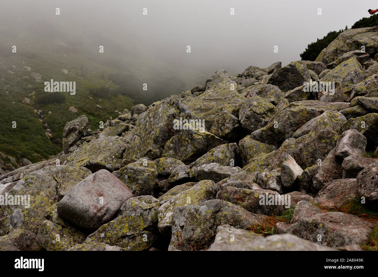 Grosse pietre in montagna-Zakopane Foto Stock