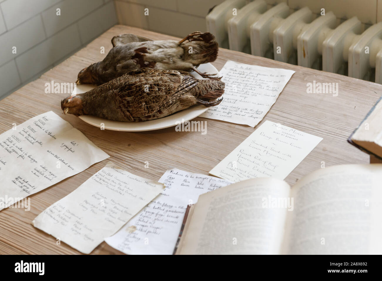 Selvaggina di penna Foto Stock