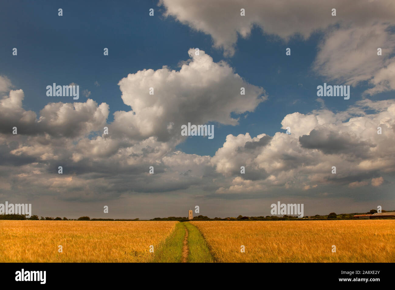 Chiesa Southrepps Norfolk Luglio Foto Stock