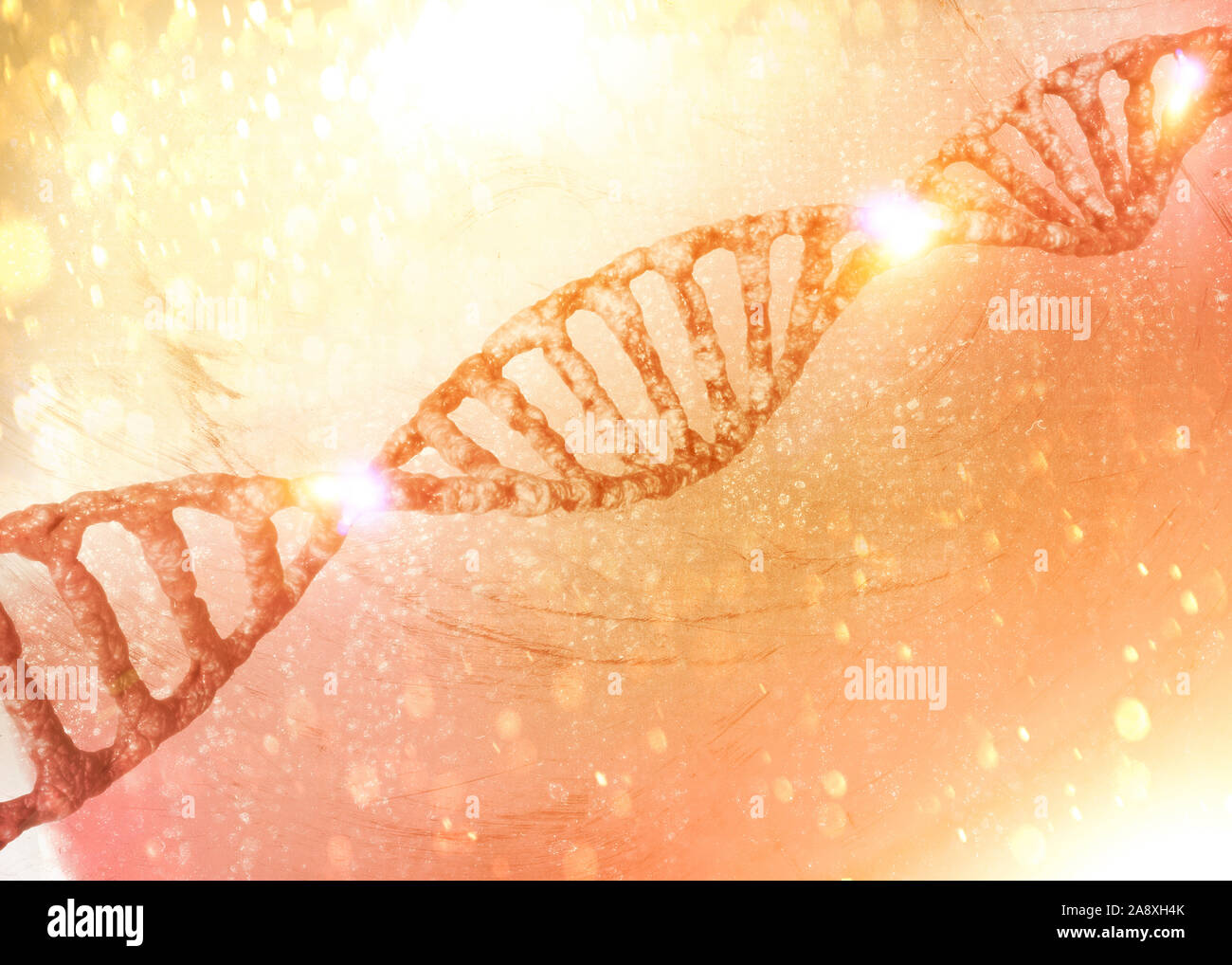 Elica di DNA, acido deossiribonucleico è un thread-come la catena di nucleotidi che trasportano le istruzioni genetiche utilizzate nel processo di crescita e sviluppo Foto Stock