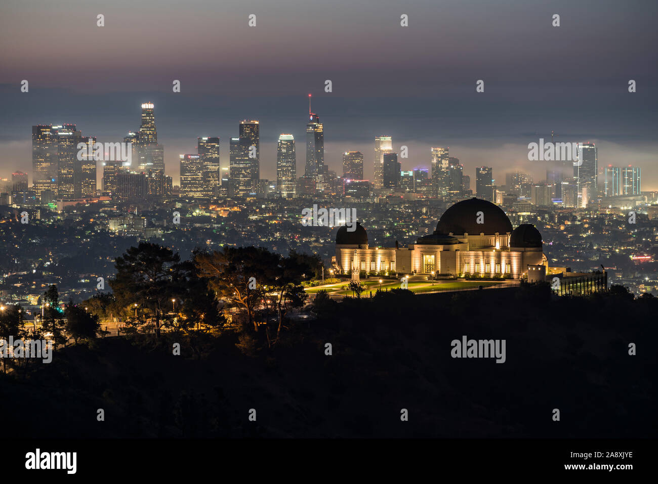 Los Angeles, California, Stati Uniti d'America - 10 Novembre 2019: Foggy predawn twilight vista del centro cittadino di Los Angeles e il Parco Osservatorio Griffith. Foto Stock