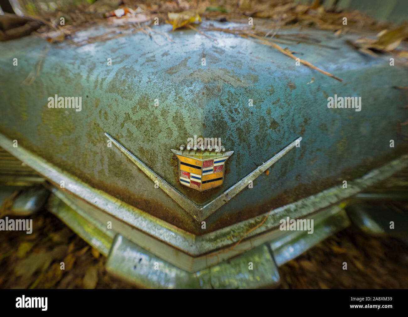 Vecchio arrugginito veicoli abbandonati nella vecchia città dell'auto junkyard in bianco in Georgia negli Stati Uniti Foto Stock