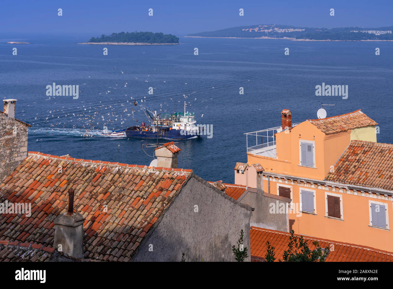 Una barca da pesca con sciami di gabbiani off Rovigno Croazia, Istria. Foto Stock