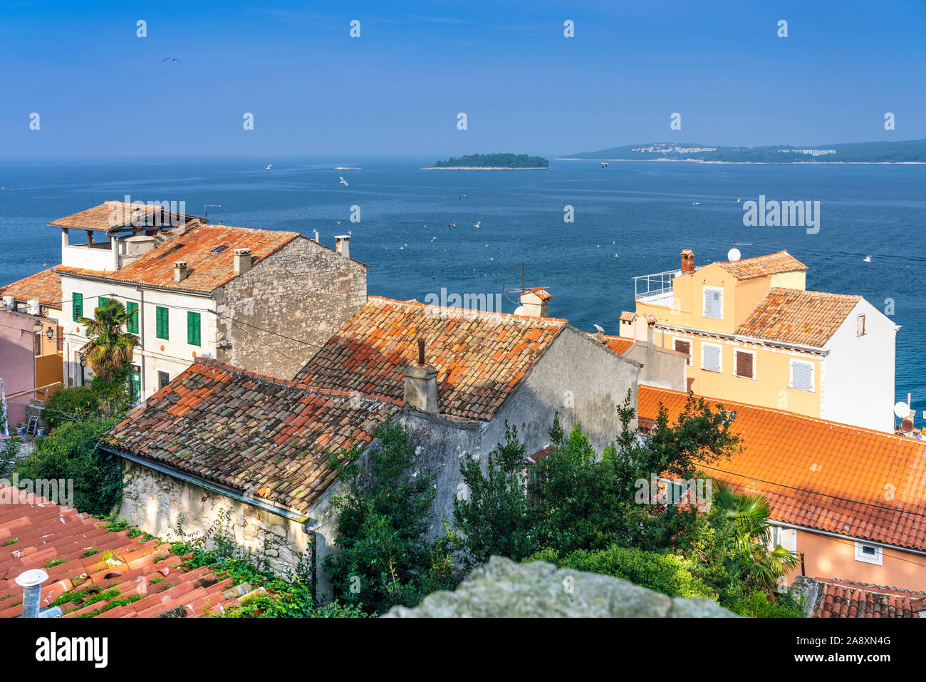 Edifici costiere a Rovigno, Croazia, Istria. Foto Stock