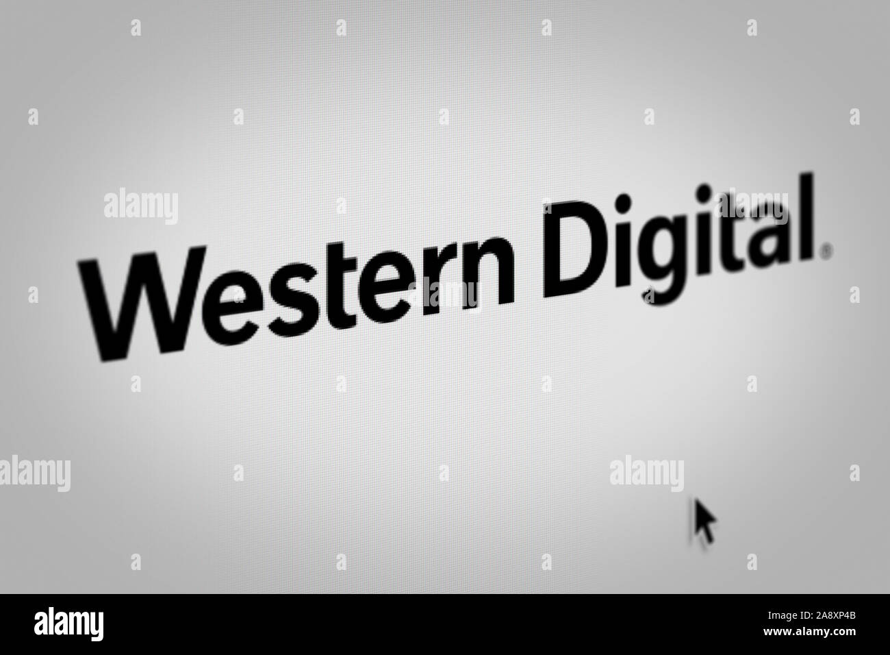 Logo della società pubblica Western Digital visualizzati sullo schermo di un computer in close-up. Credito: PIXDUCE Foto Stock