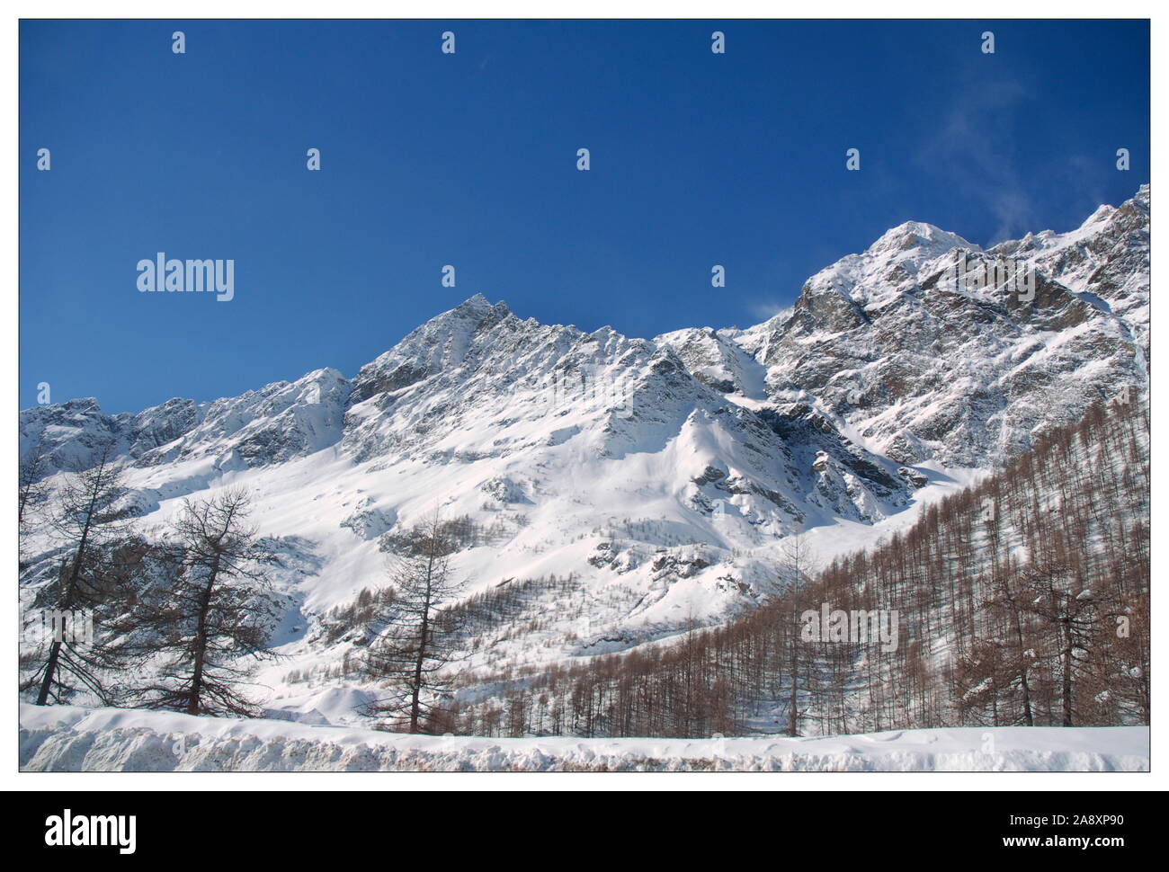 Innevato paesaggio alpino Foto Stock