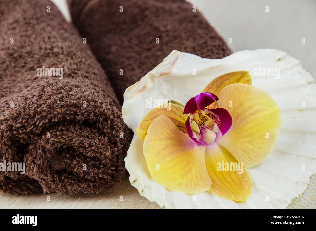 Spa e il concetto di benessere con fiori di orchidea e asciugamani Foto Stock