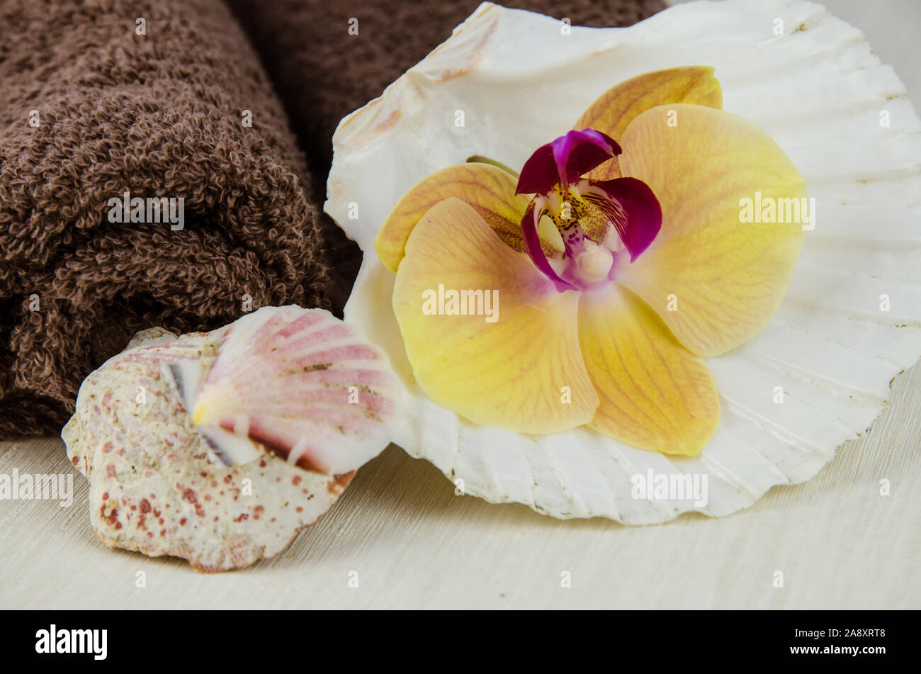 Spa e il concetto di benessere con fiori di orchidea e asciugamani Foto Stock