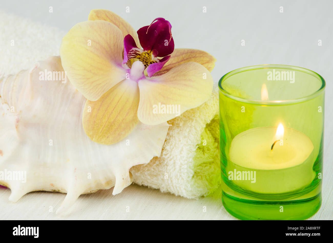 Spa e il concetto di benessere con fiori di orchidea, shell e l'asciugamano Foto Stock