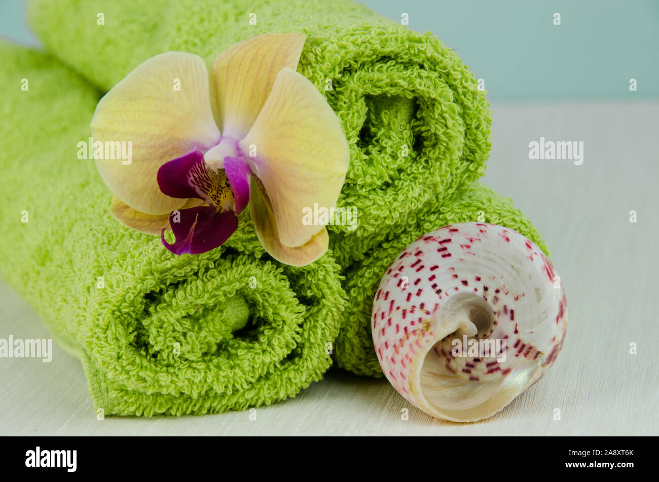 Spa e il concetto di benessere con guscio e asciugamani verde Foto Stock