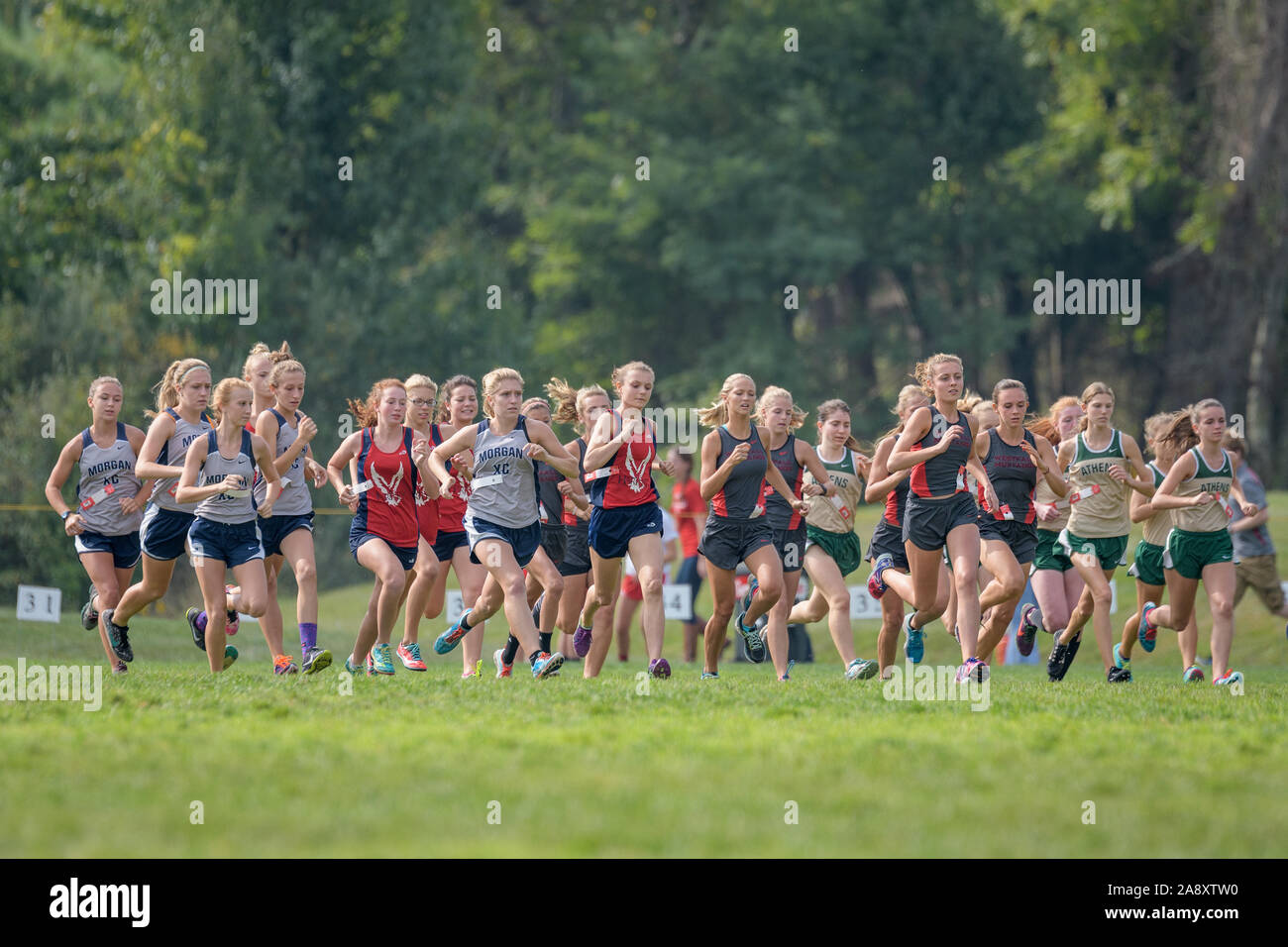 Lancaster, Ohio / STATI UNITI D'AMERICA - 9/24/2016: inizio della gara, prima che qualcuno ha rotto lontano dal pack al Bob Reall Invitational Cross Country Comp. Foto Stock