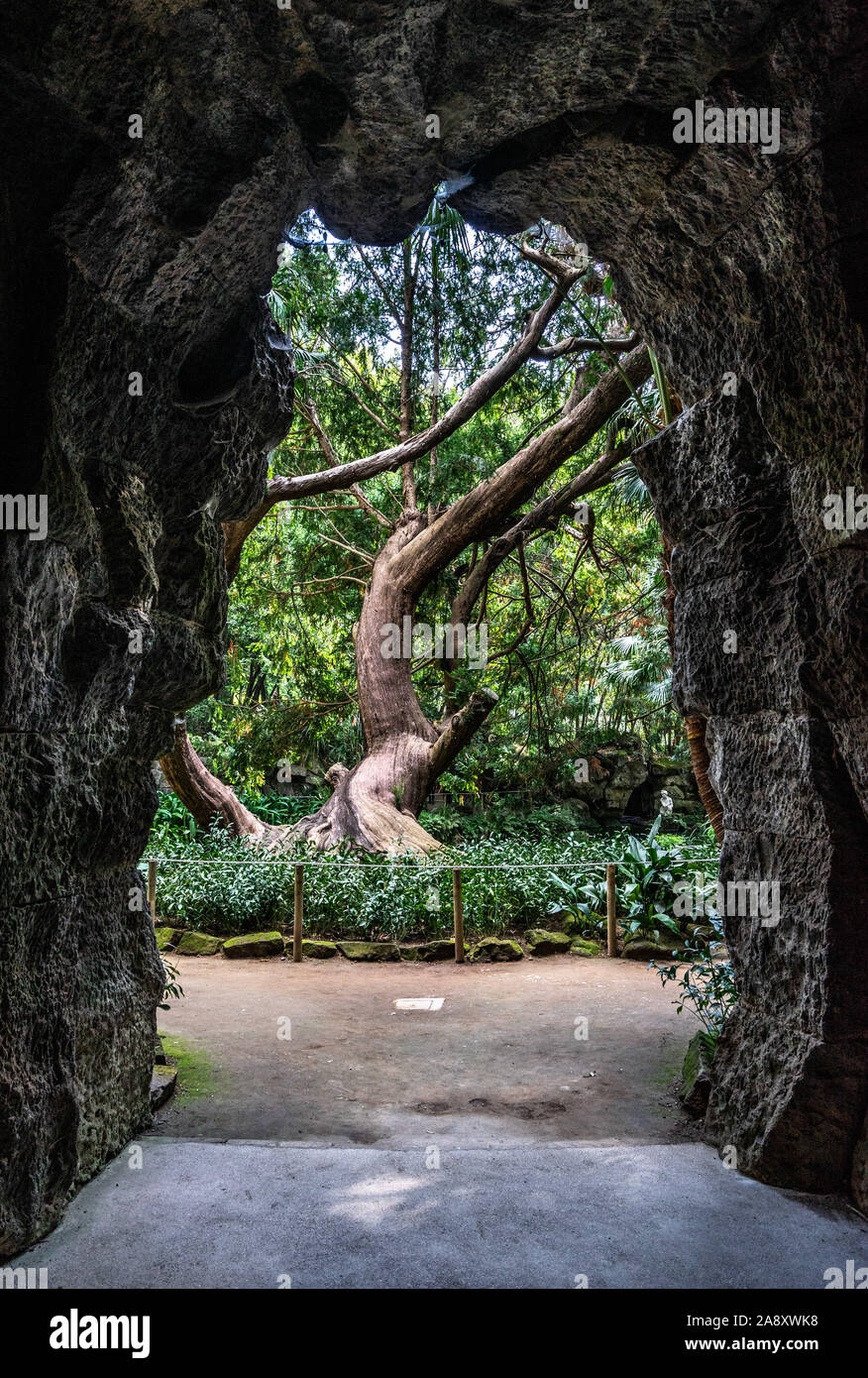 Il bellissimo giardino inglese del Palazzo Reale di Caserta visto dal Criptoportico. Campania, Italia Foto Stock