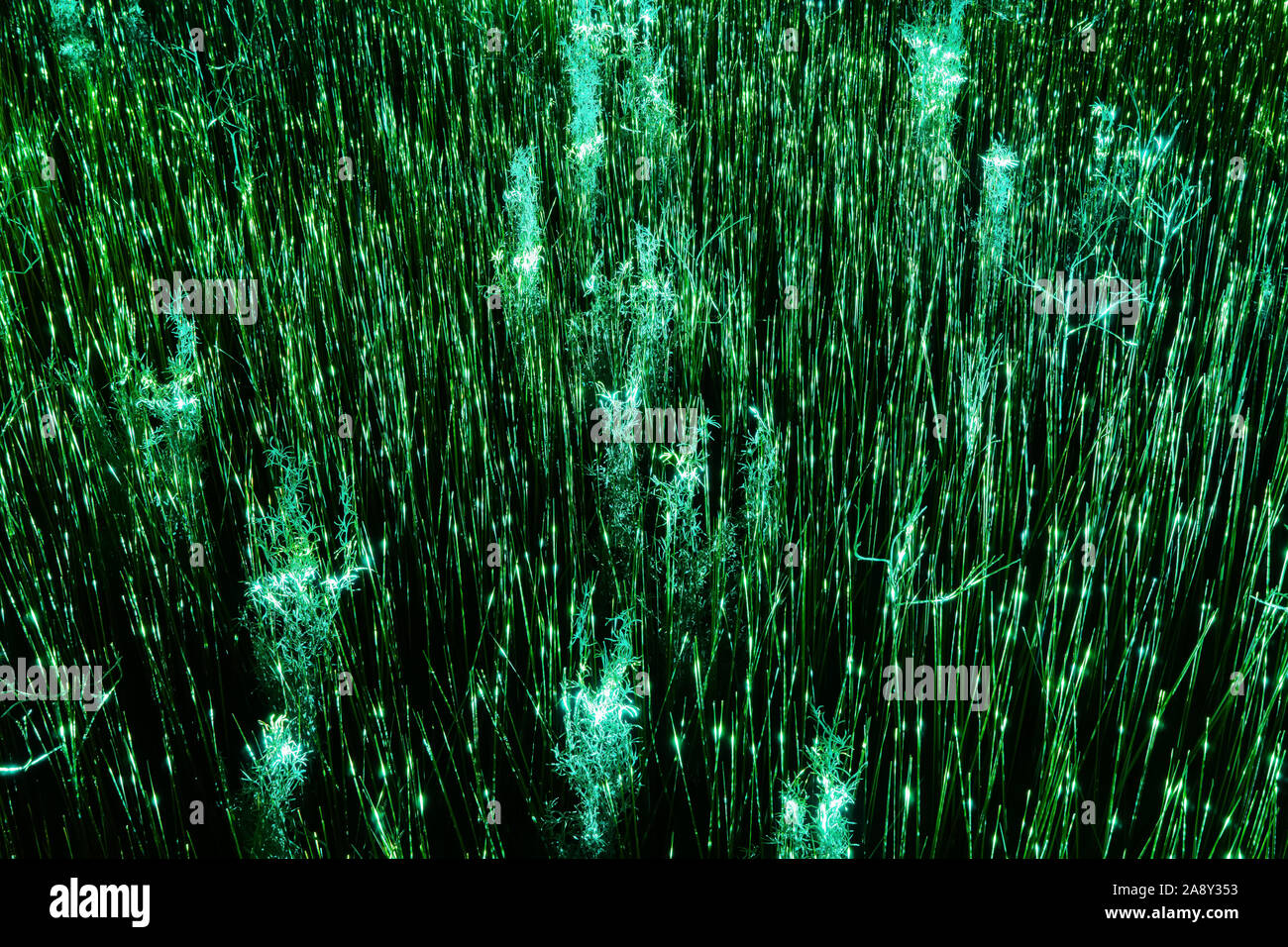 Sfondo astratti - erba incandescente al buio con magica luce verde Foto Stock