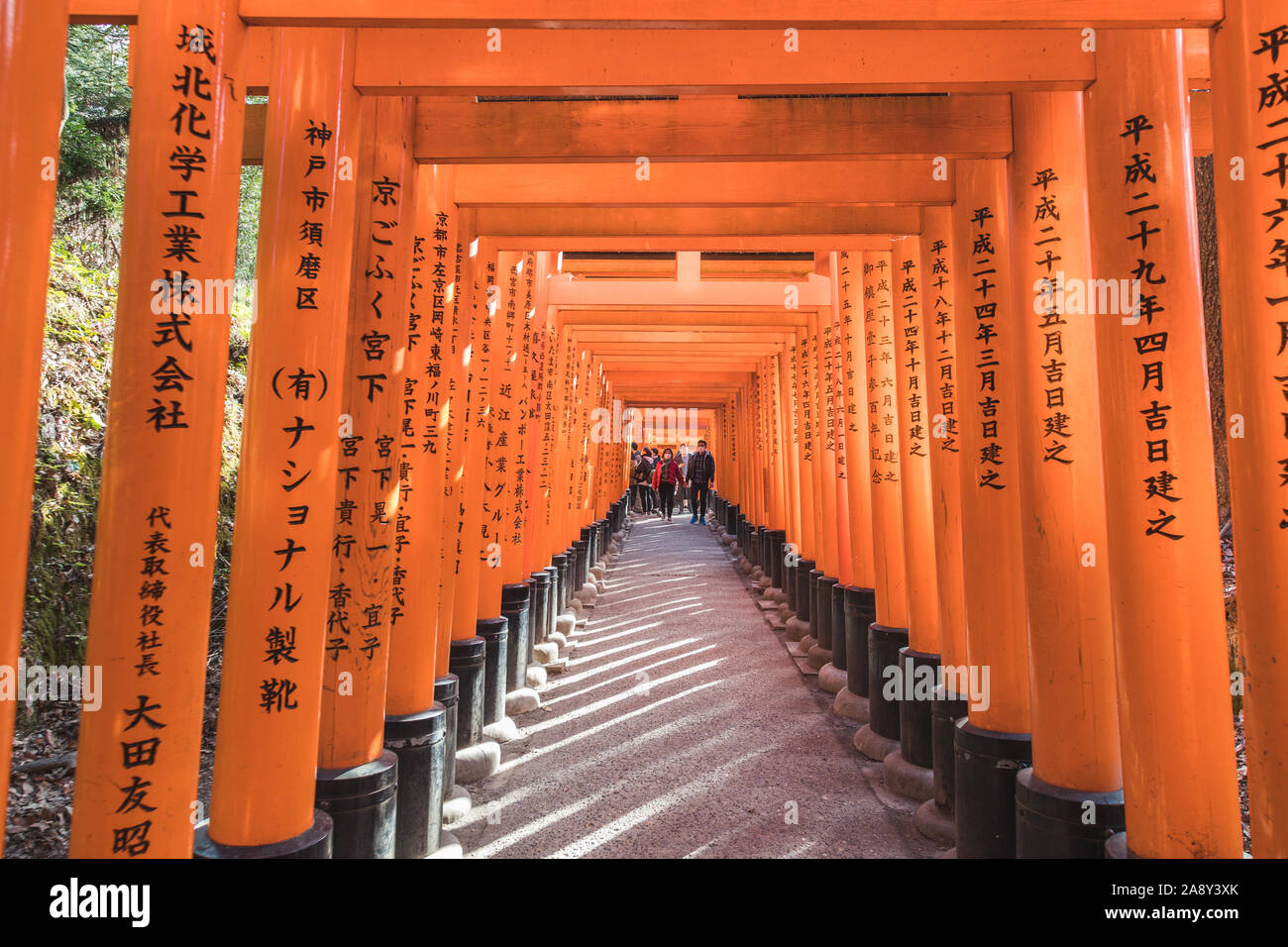 KYOTO, Giappone, 14gennaio 2019: Viste lungo i percorsi a Fushimi Inari santuario mostra un tunnel di torii gates. La gente può essere visto. Foto Stock