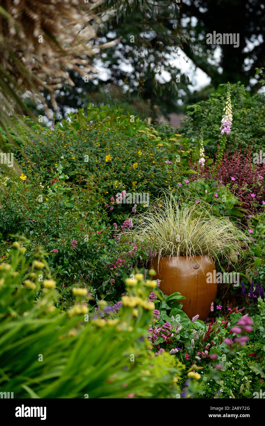 Funzione pot,garden offre,pot,pentole,giardinaggio contenitore,fiore,fiori,fioritura,mix,miscelati,combinazione,confine,frontiere,RM Floral,Cortaderia selloana Foto Stock