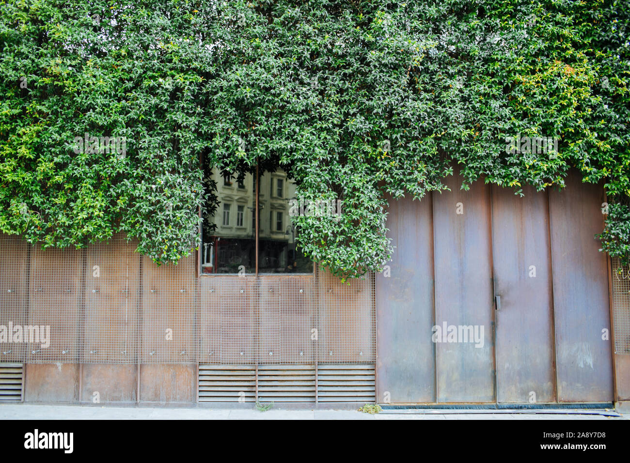 Sfondo con street style urban texture vintage cancello arrugginito con vegetazione lussureggiante sopra. Finestra di piccole dimensioni con architettura riflessa. Foto Stock