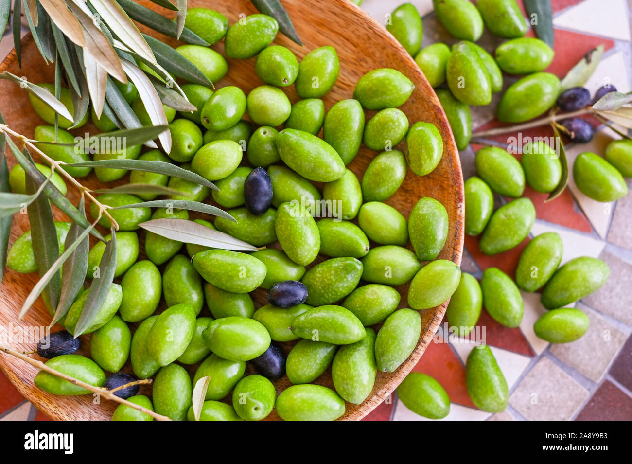 Fresco Di Olive verdi con rami e foglie. Raccolto stagionale in Italia. Vista superiore Foto Stock
