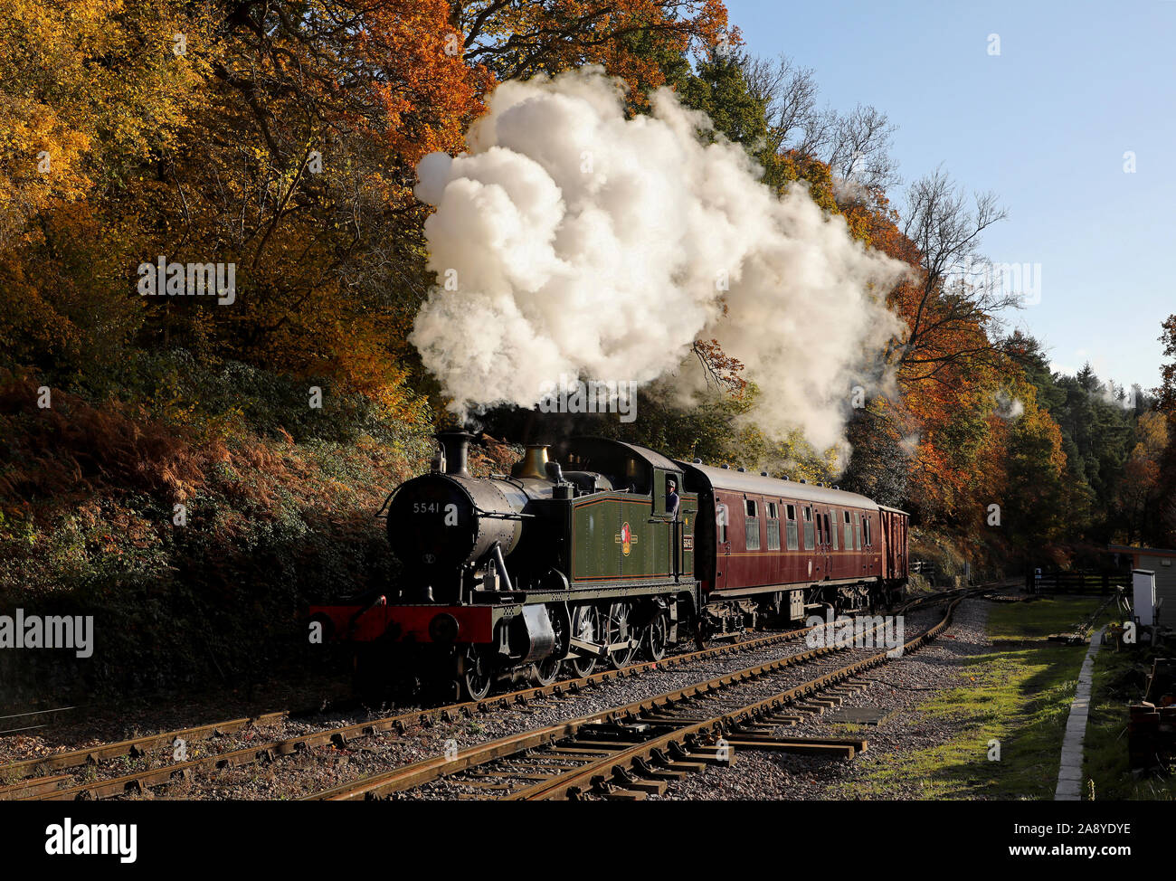 5541 arriva in Parkend sulla Foresta di Dean ferrovia 8.11.19. Foto Stock