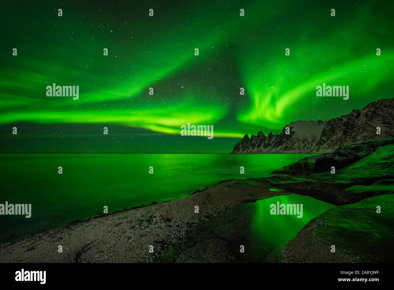 Aurora su Tugeneset costa rocciosa con Okshornan montagne sullo sfondo, Senja, Norvegia Foto Stock