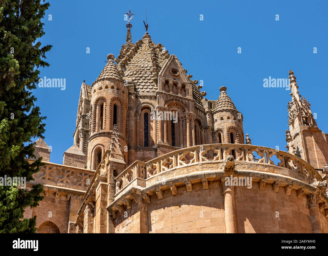 Sculture ornate e la torre campanaria del Duomo Vecchio in Salamanca Foto Stock