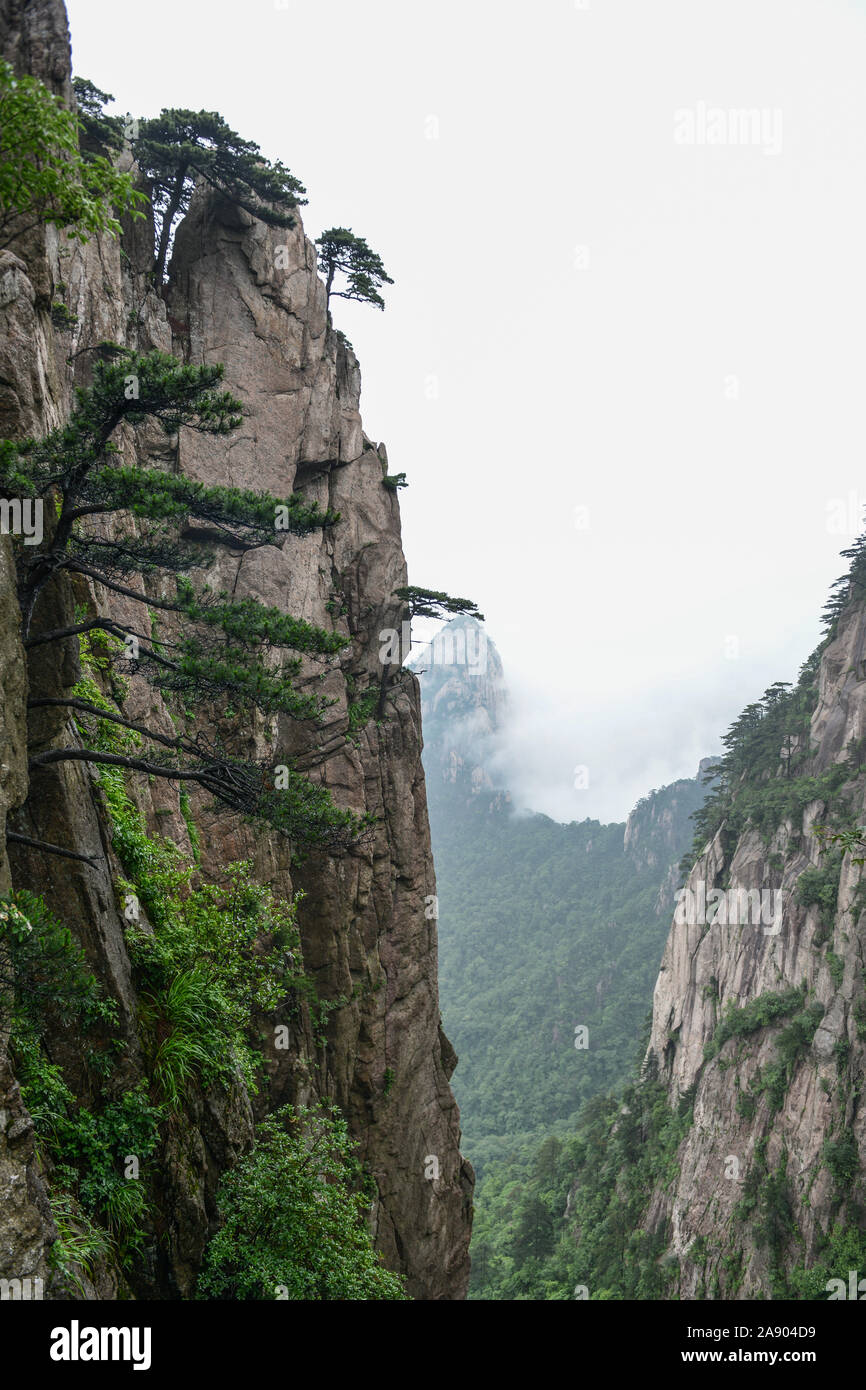 Il giallo delle montagne.Monte Huangshan.una gamma di montagna nel sud della provincia di Anhui in Cina orientale. Foto Stock