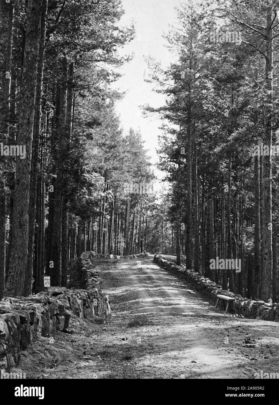 Nei primi anni del XX secolo strada rurale in Finlandia Foto Stock