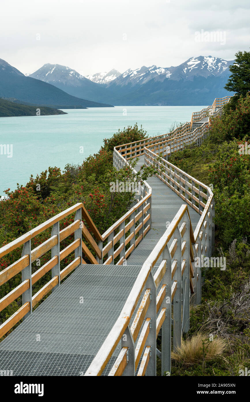 Bella immagine del sentiero nel parco di Perito Moreno - Patagonia Argentina. Foto Stock