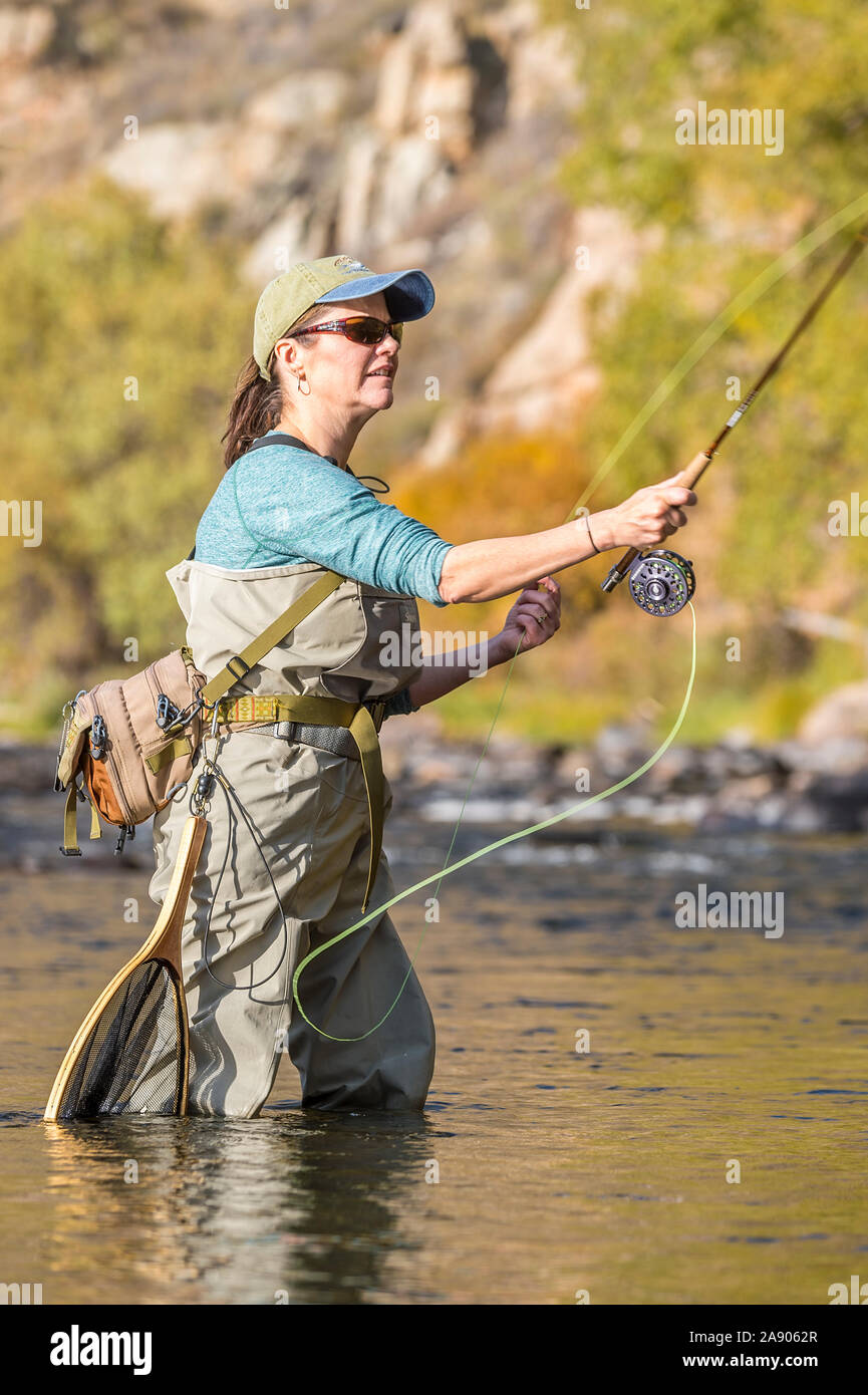 Una donna getta la sua canna da mosca e l'aspo durante la pesca in un assolato pomeriggio di caduta nel nord del Colorado. Foto Stock