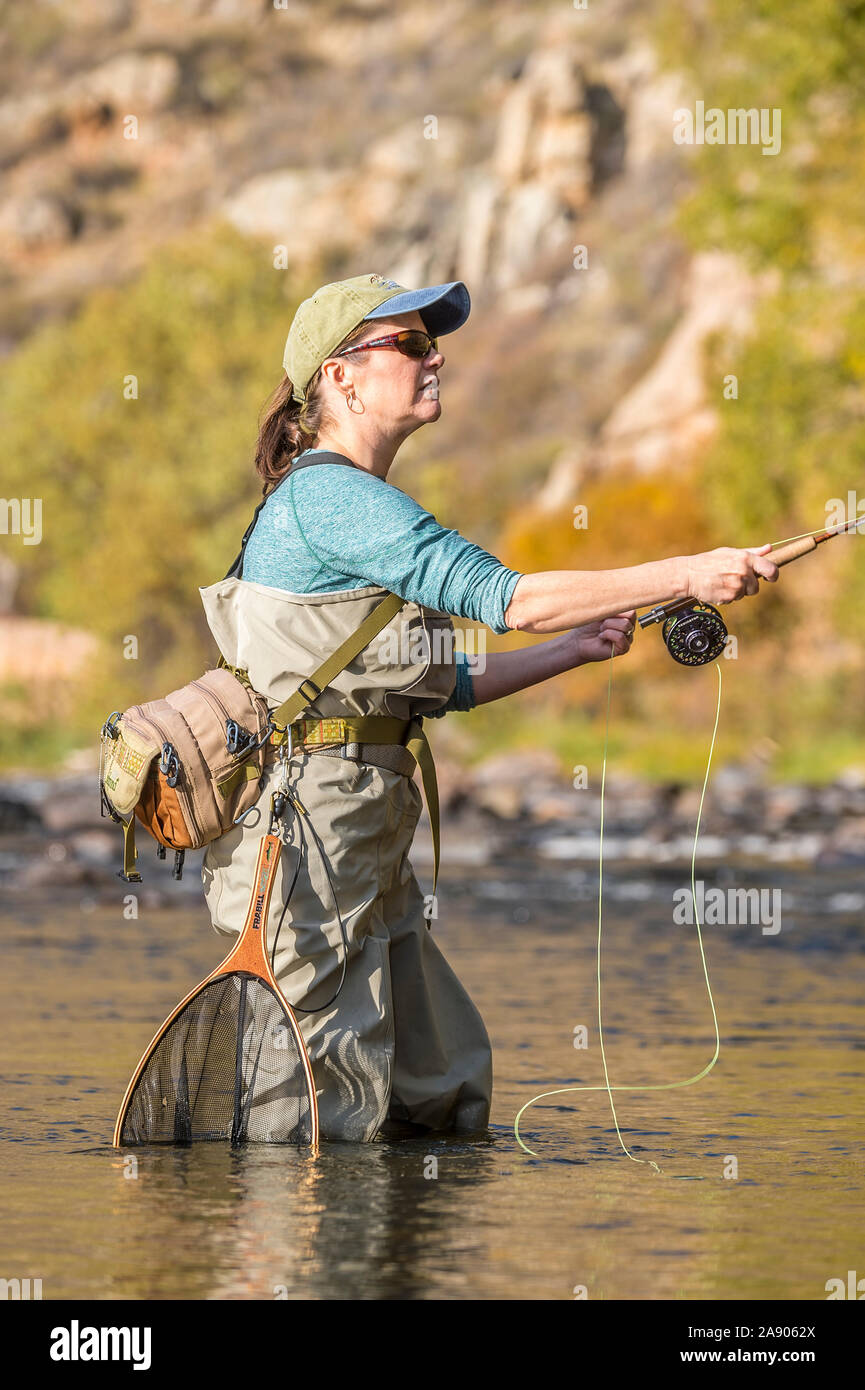 Una donna getta la sua canna da mosca e l'aspo durante la pesca in un assolato pomeriggio di caduta nel nord del Colorado. Foto Stock