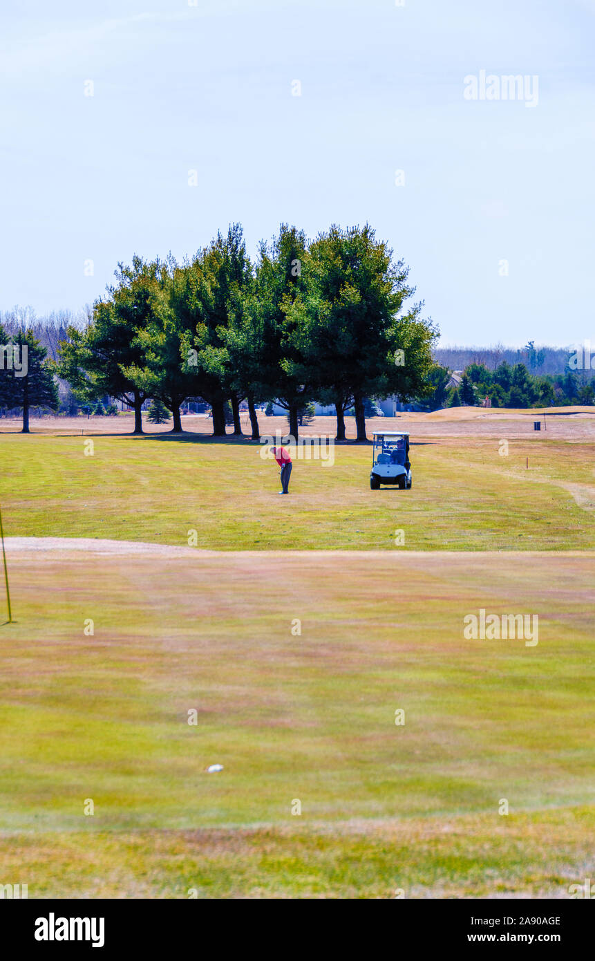 Un giocatore di golf su un fairway usando un pitching cuneo per un approccio shot il putting green. Foto Stock