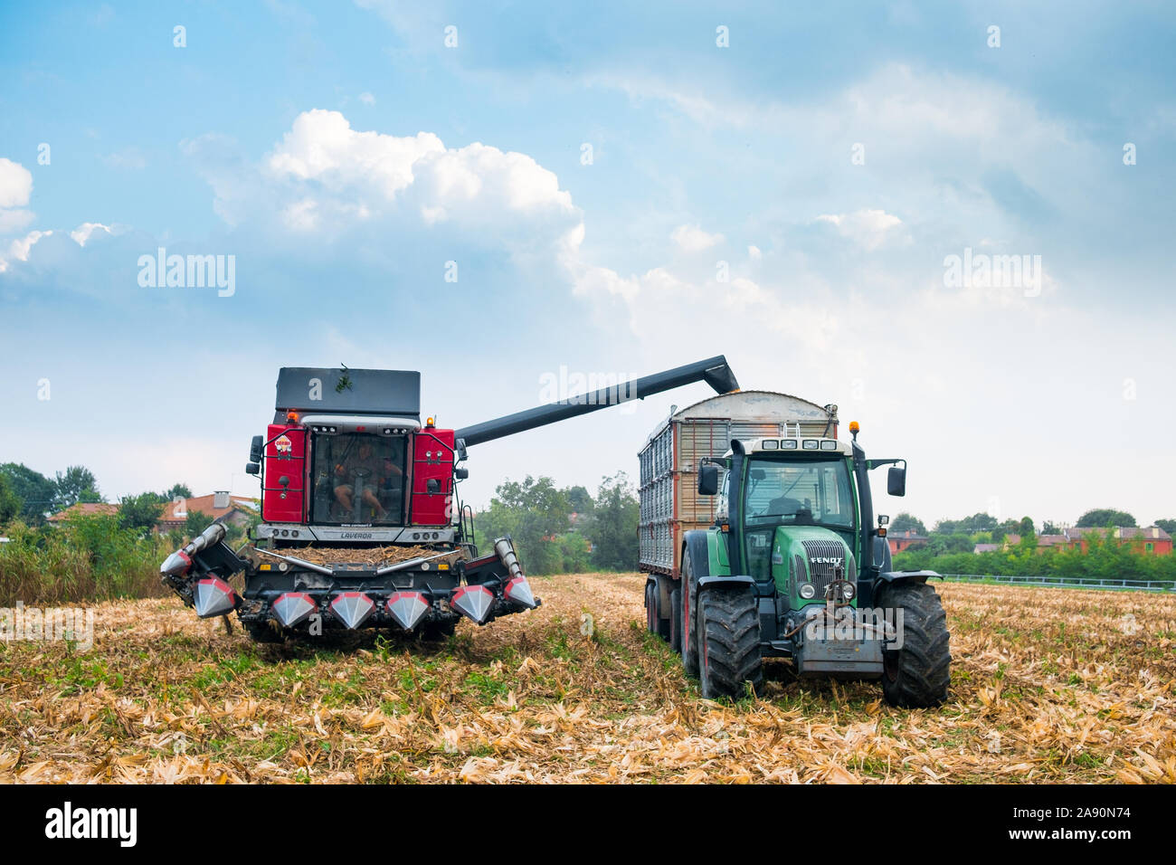 Treviso, Italia - 20 settembre 2019: Mietitrebbia mais di scarico nel campo del trattore in campagna italiana, simbolo dell'agricoltura ed economia crisi Foto Stock