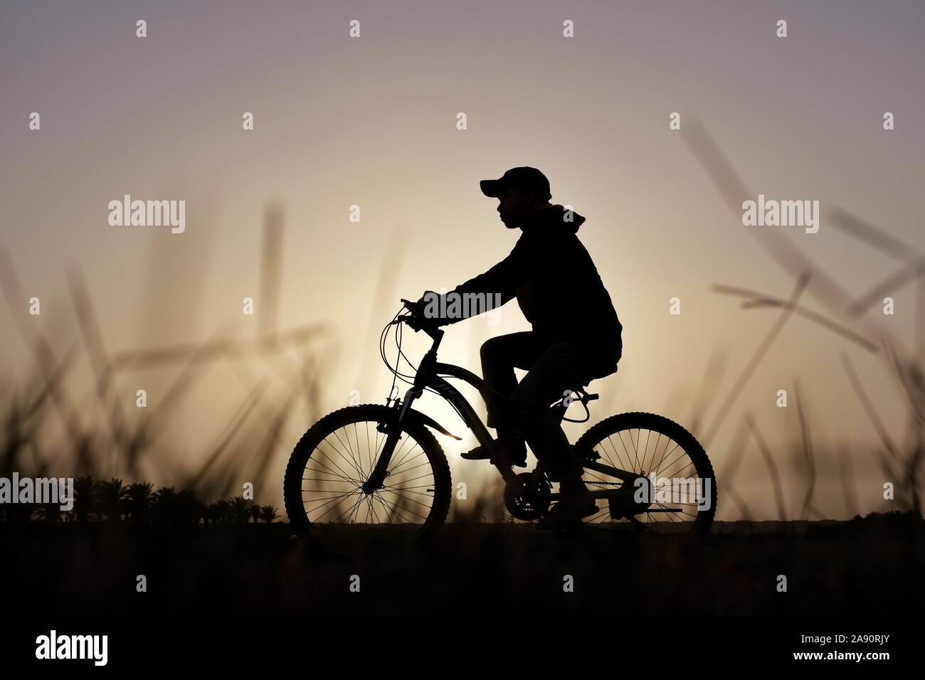 Silhouette di un giovane uomo su una bicicletta al tramonto Foto Stock